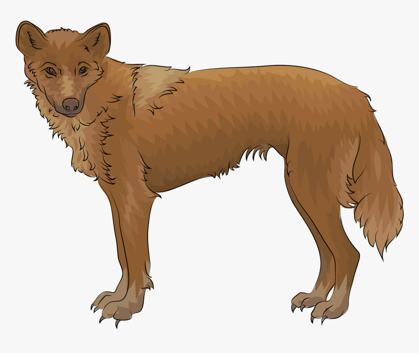 Companion Dog, HD Png Download