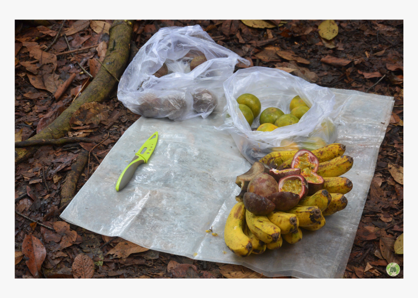 Torta, HD Png Download