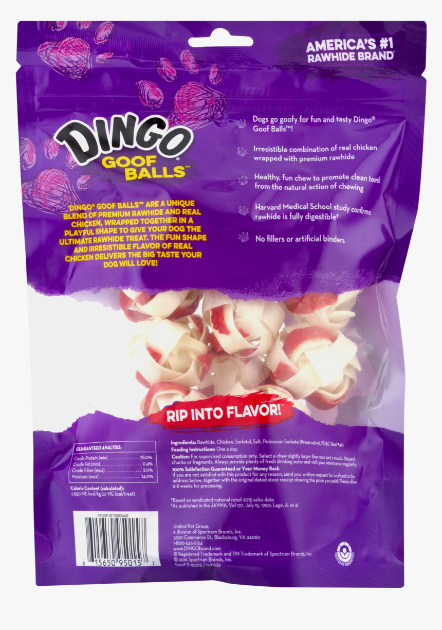 Ferret, HD Png Download