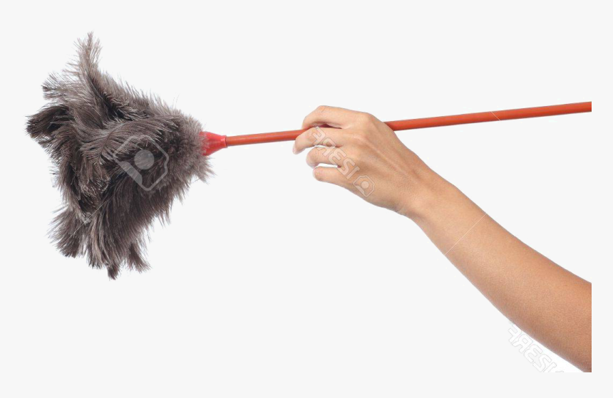 Dog Catches Something, HD Png Download