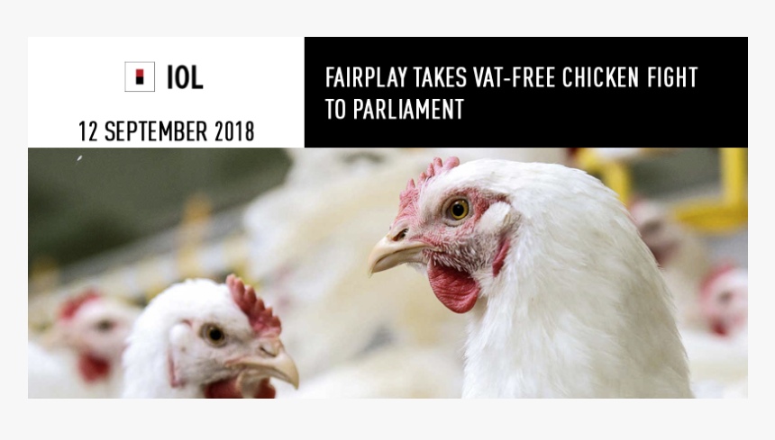 Poultry Images With High Resolution, HD Png Download