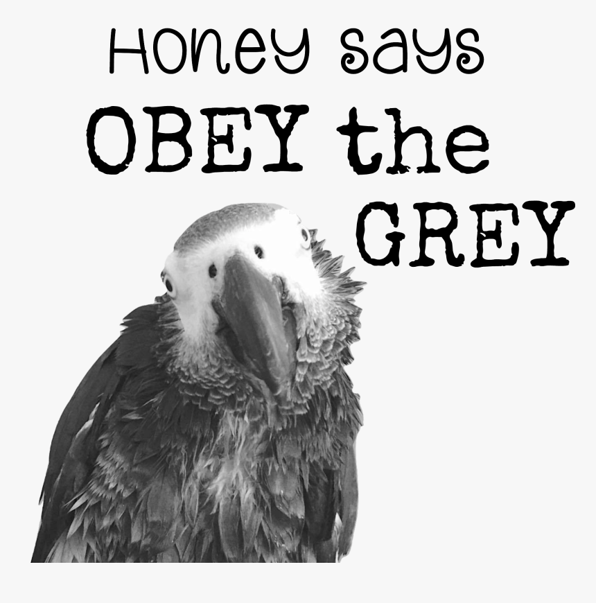 Obey The Grey Mug - Quick And Easy Diy Father's Day Gifts, HD Png Download