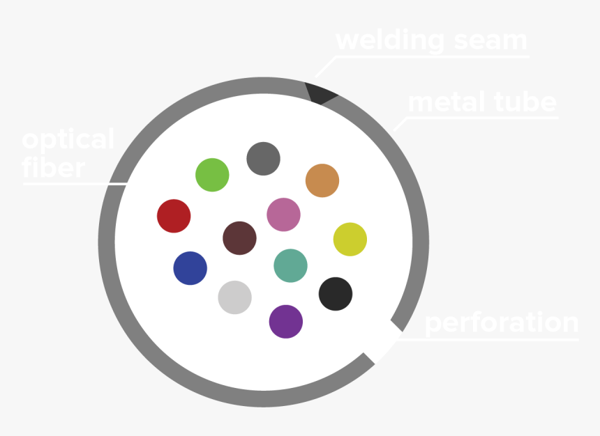 Circle, HD Png Download