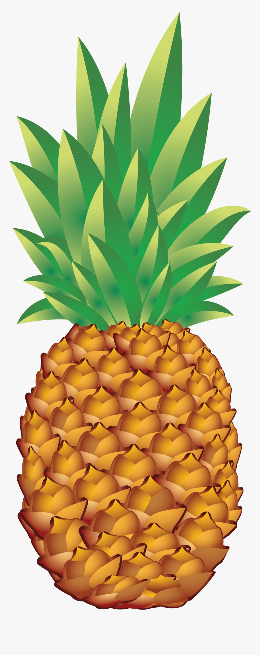 Pineapple Png Image, Free Download - Pineapple Png, Transparent Png