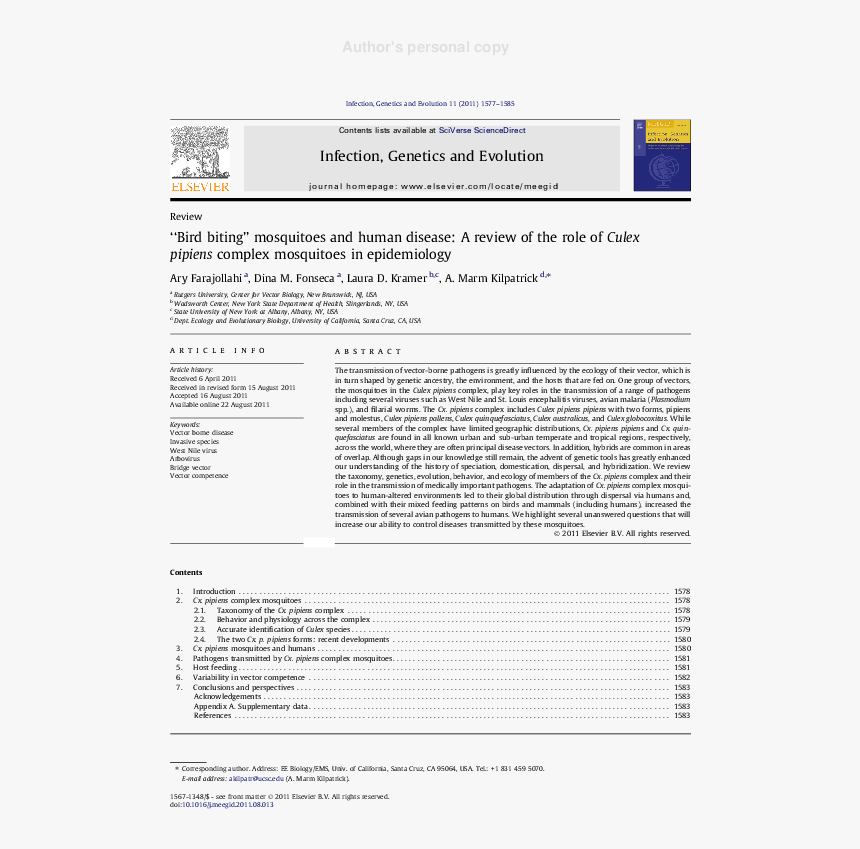 Screenshot, HD Png Download