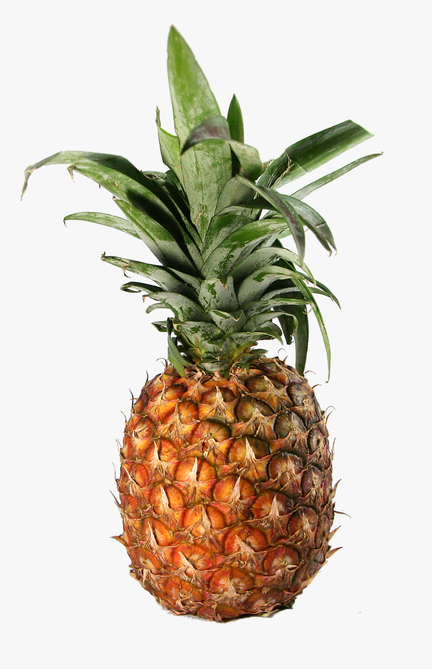 Transparent Pineapple - Pineapple, HD Png Download