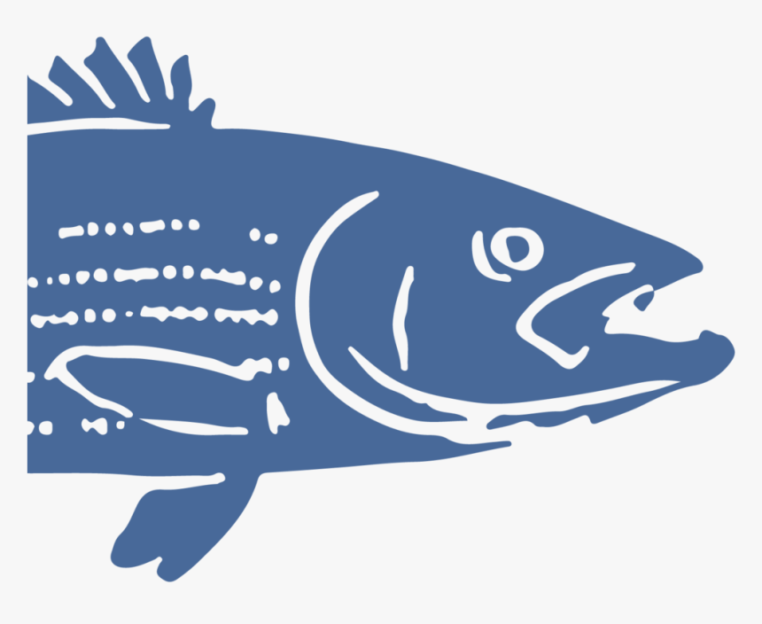 Fishhead-01 - Illustration, HD Png Download