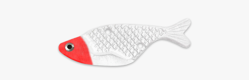 Red Head White - Pomacentridae, HD Png Download