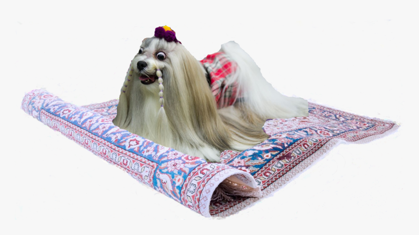 Diddy Laying On Steps, HD Png Download