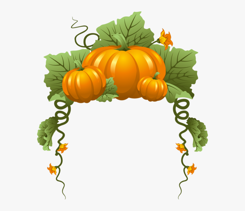 Tubes Automne Ecrire Un Nouvel Article - Pumpkin Vine, HD Png Download