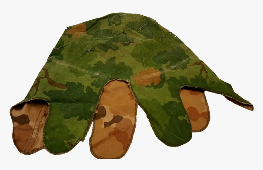 Genuine Issue U S - Maidenhair Tree, HD Png Download