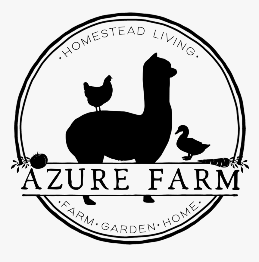 Barn Silhouette Png - Chicken, Transparent Png