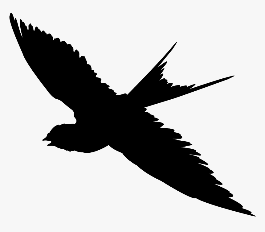 Ласточка Силуэт, HD Png Download