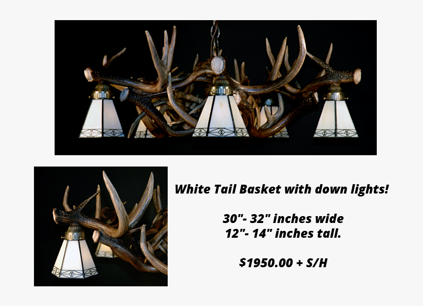 Whitetail Antler Chandelier, HD Png Download