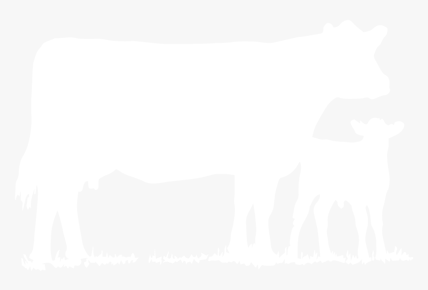 Briarose Farm - White Bovine Silhouette Png, Transparent Png