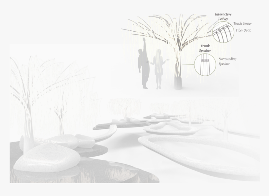 Transparent Willow Tree Clipart - Chandelier, HD Png Download