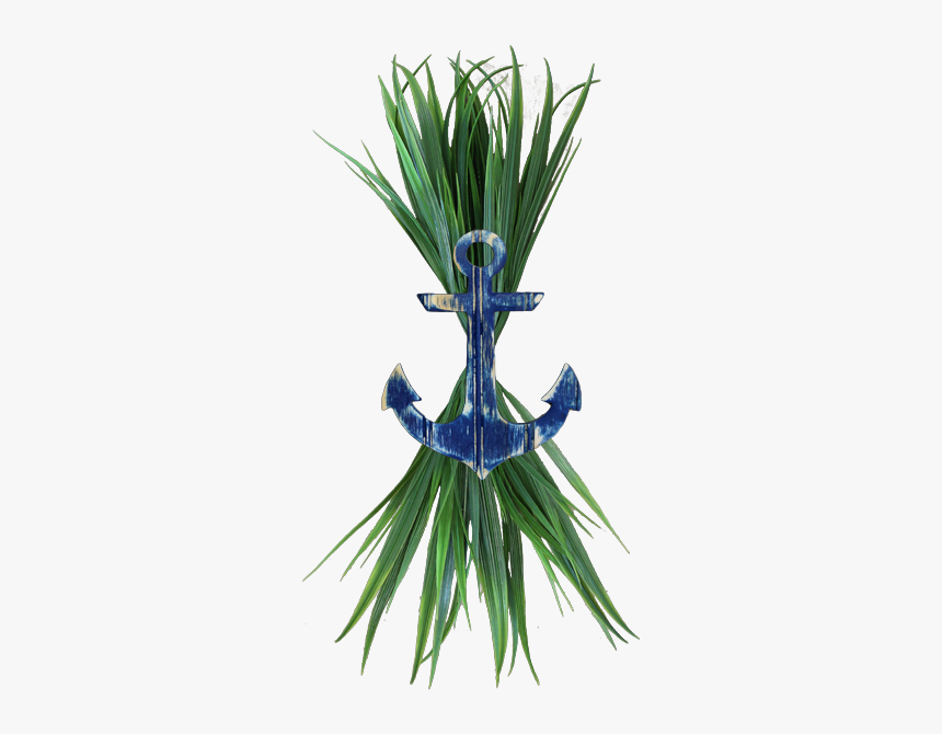 Grass, HD Png Download