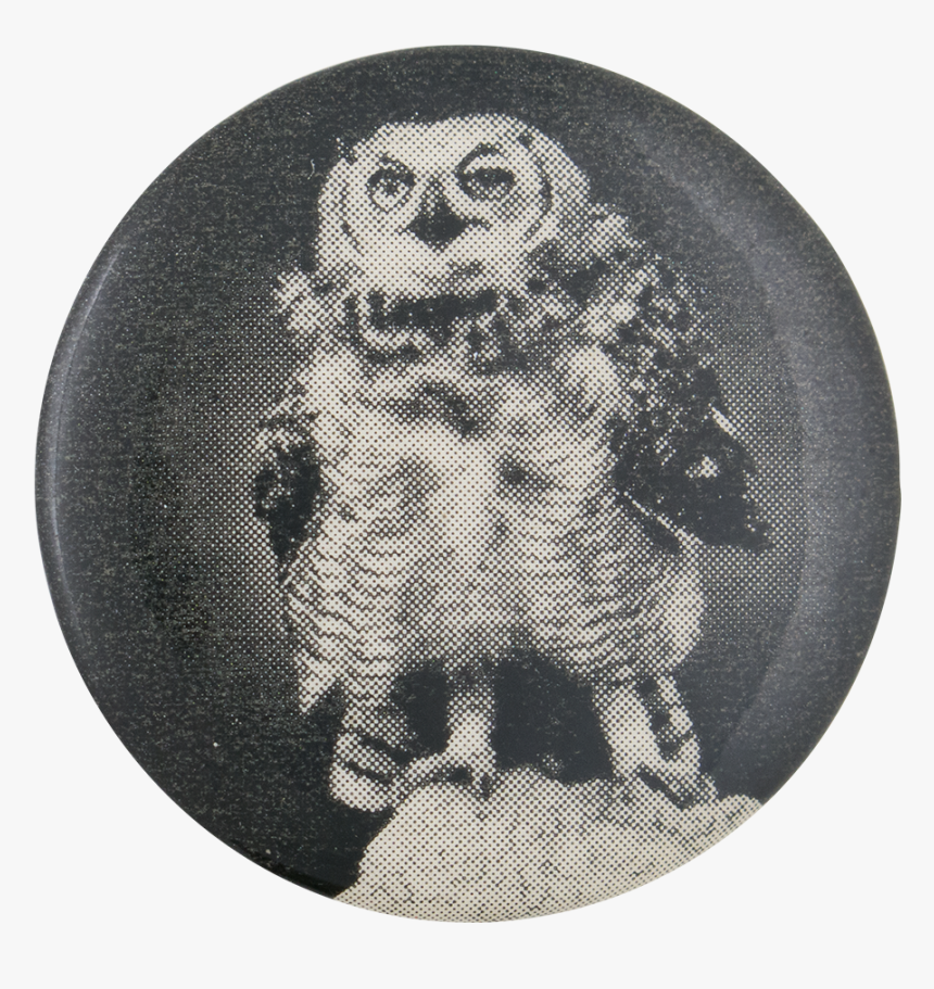 Black And White Owl Art Button Museum - Great Grey Owl, HD Png Download