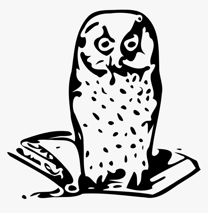 Buho Sabiduria Png, Transparent Png