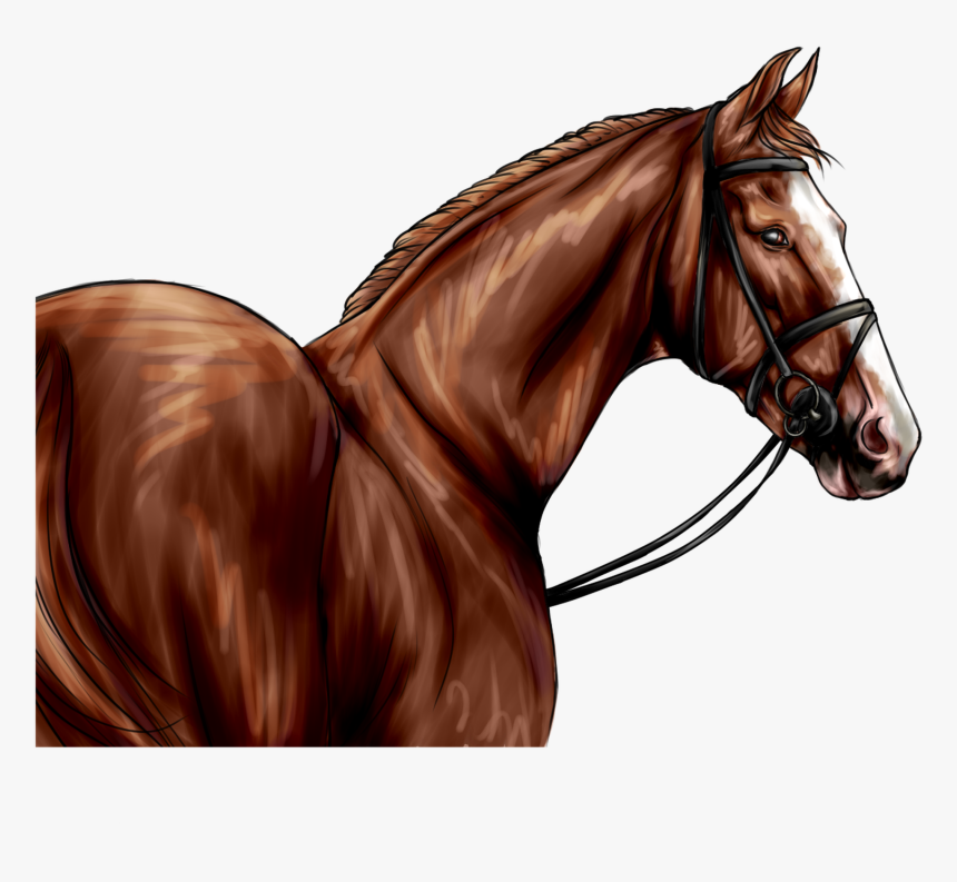 Sorrel, HD Png Download