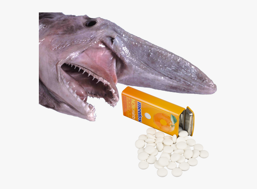 Scariest Ocean Animals In World, HD Png Download