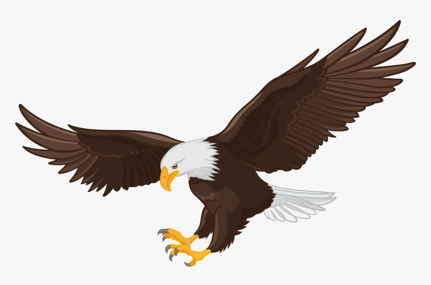 Transparent American Eagle Png - Bald Eagle Clipart Png, Png Download