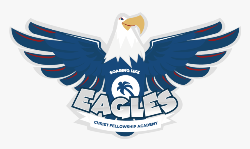 Transparent Soaring Eagle Png - Hawk, Png Download