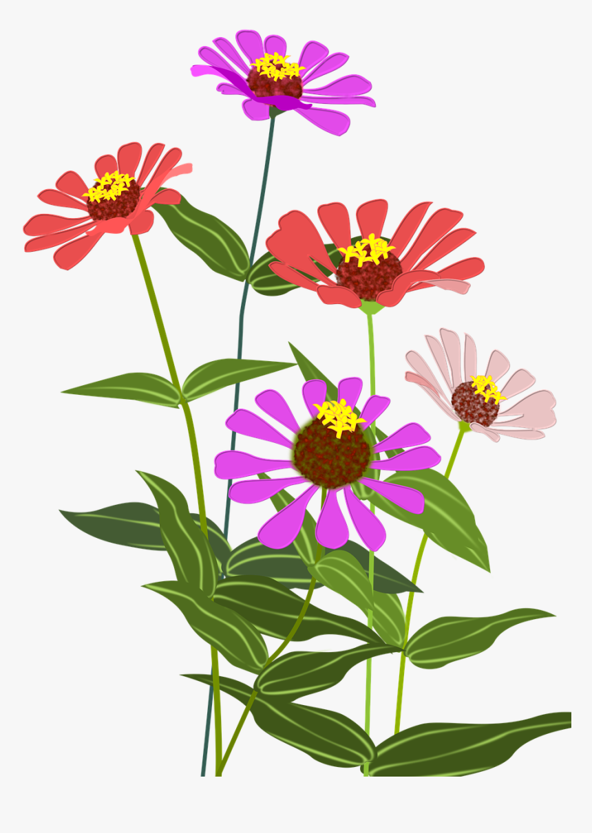 Cosmos Flower Clipart Png, Transparent Png