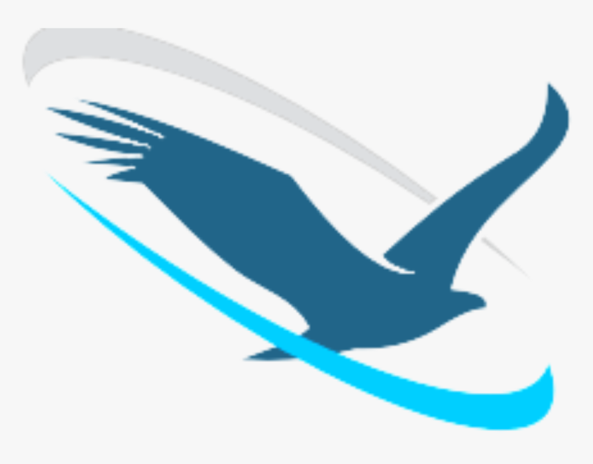 Soaring Eagle Network - Last Soaring Eagle Clipart, HD Png Download