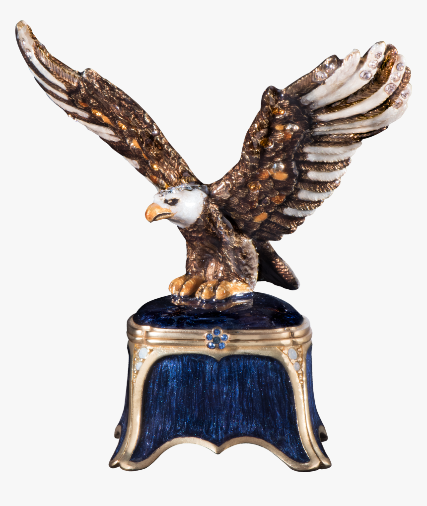 Hawk, HD Png Download
