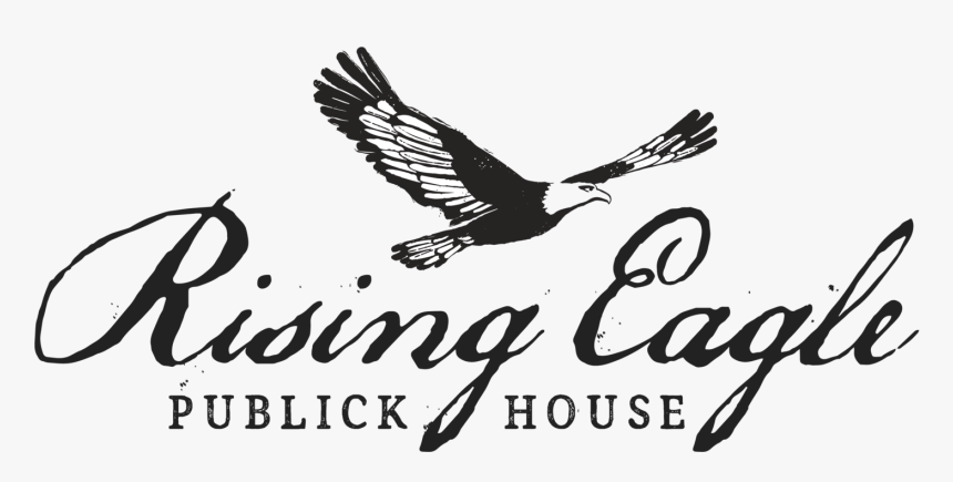 Accipitridae, HD Png Download