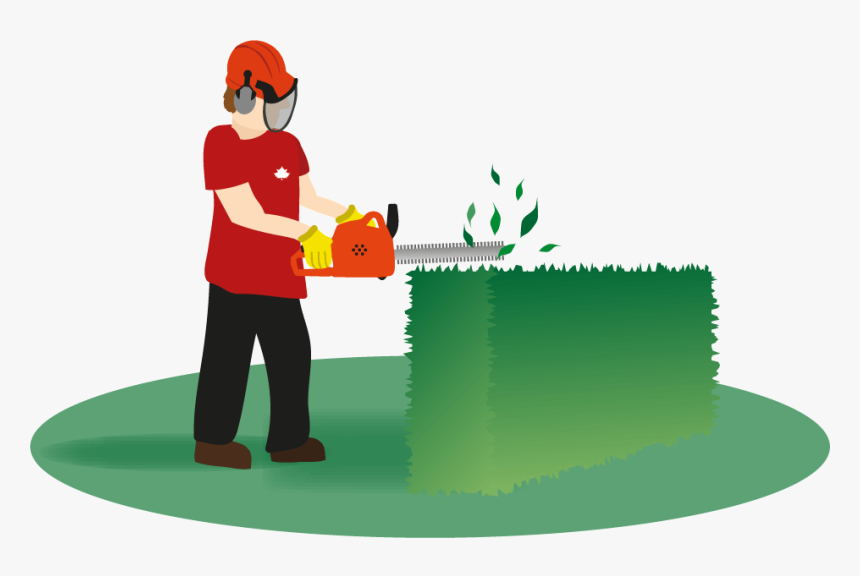 Hedges Clipart Hedge Trimming - Hedging Clipart, HD Png Download