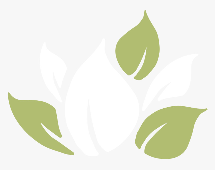 Lady Tulip, HD Png Download