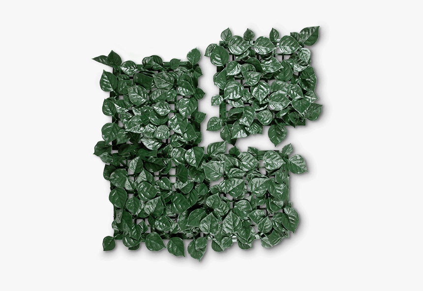 Grass, HD Png Download