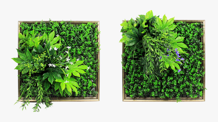 Vertical Garden Png - Vertical Garden Plants Png, Transparent Png