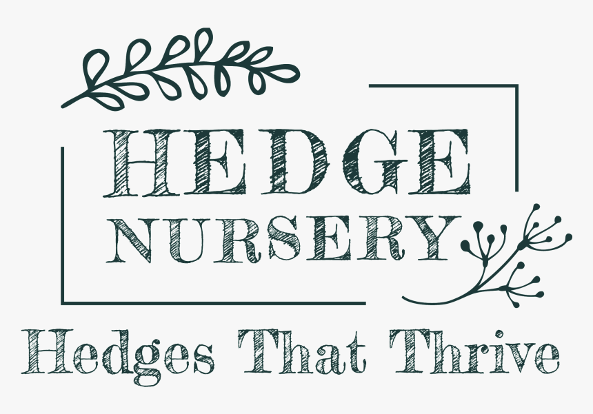 Hedge Nursery - Calligraphy, HD Png Download