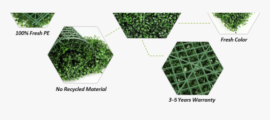 Sunwing Artificial Boxwood Hedges’ Features - Floor, HD Png Download