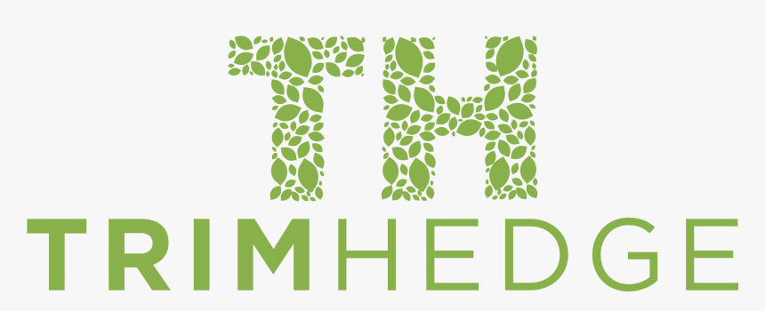 Graphic Design, HD Png Download