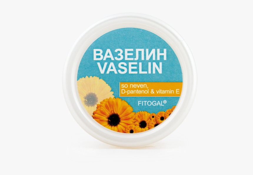 Camomile, HD Png Download