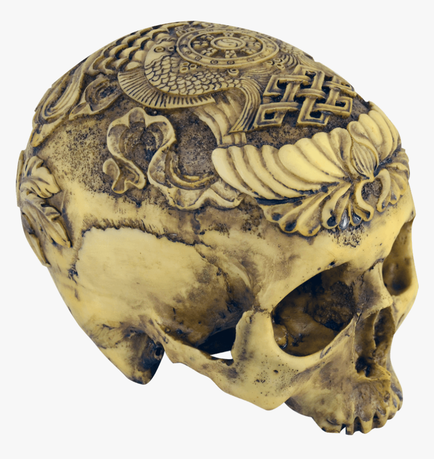 Artistic Carved Human Skull - Carved Human Skull Art, HD Png Download