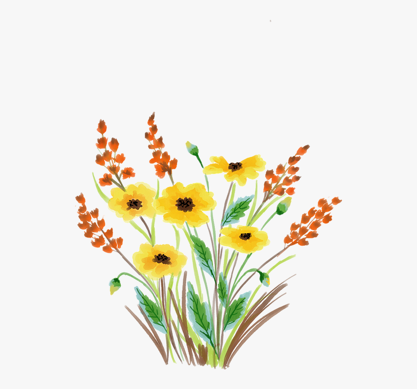Watercolour Flower, Floral, Watercolor, Nature - Watercolor Painting, HD Png Download