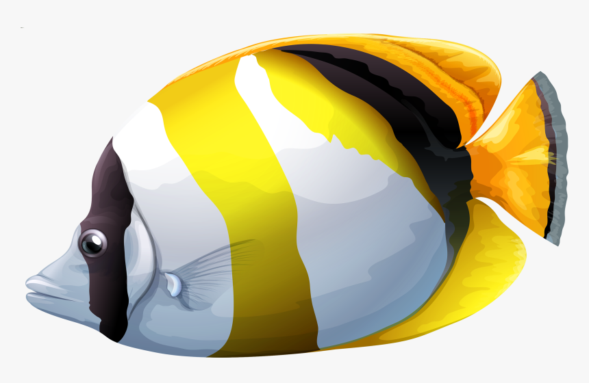 Chaetodon Butterfly Fish Png Clipart - Tropical Fish Transparent Background, Png Download
