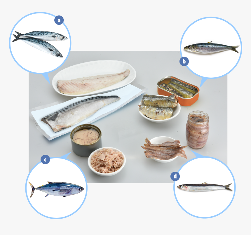 Examples Of Fish Which Contain Elevated Levels Of Naturally - Ceramic, HD Png Download