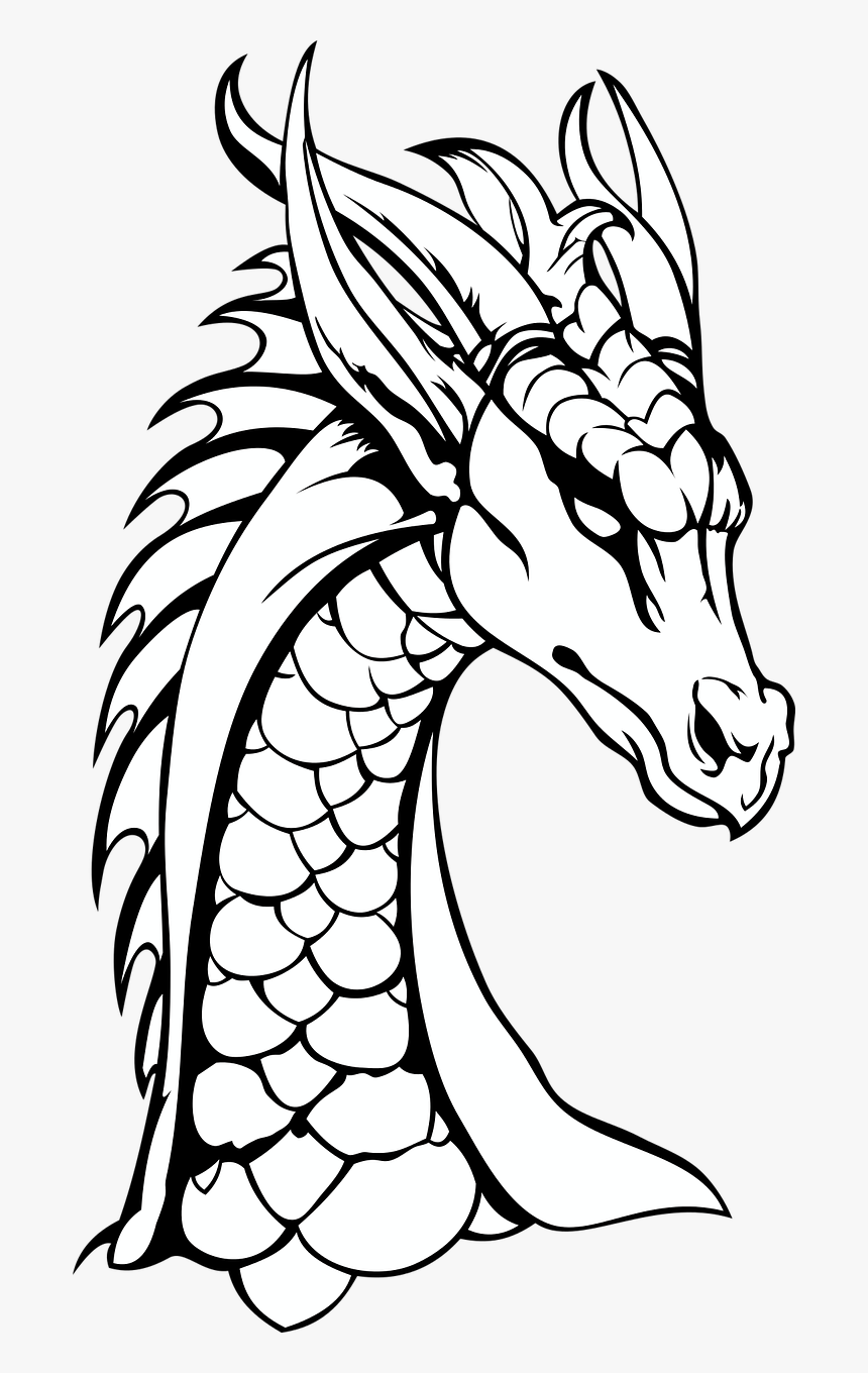 Dragon Neck The Head Of The Free Picture - Dragons Black And White, HD Png Download