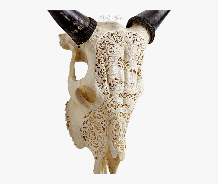 Carved Cow Skull - Carving, HD Png Download