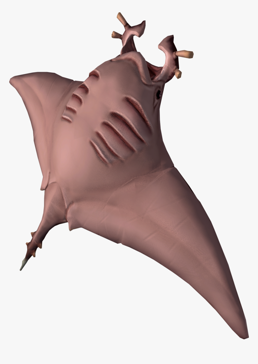 Manta Rays Are A Members-only Fish That Require A Cooking - Cooked Manta Ray, HD Png Download