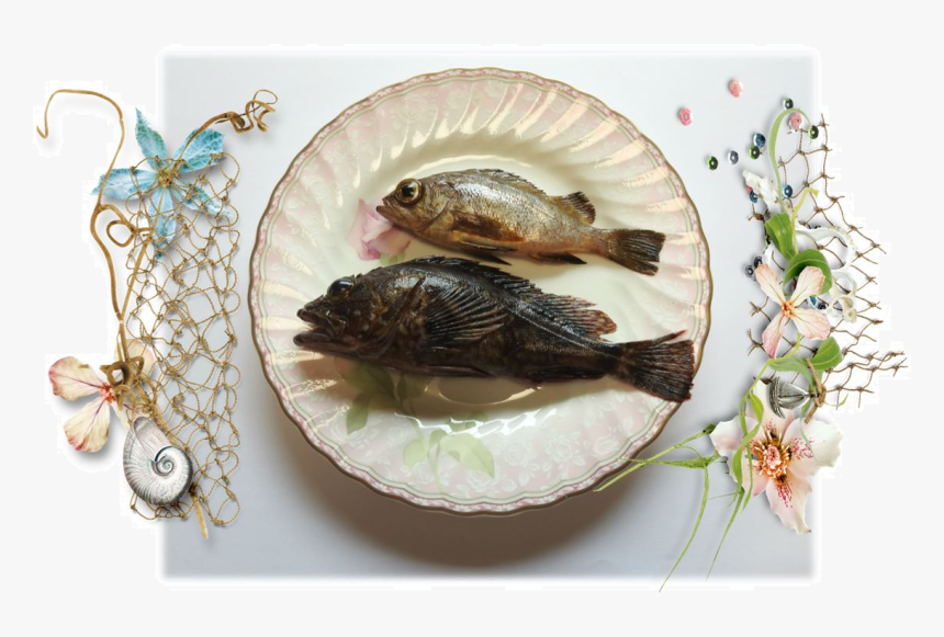 Bass, HD Png Download