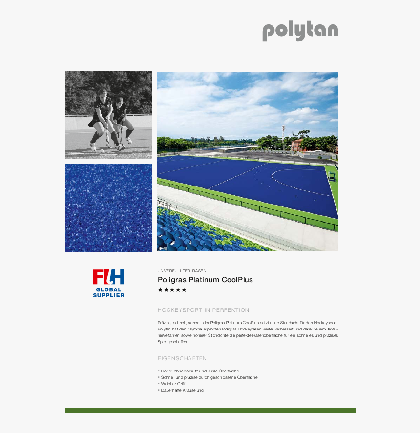 Poligras Platinum Coolplus - Online Advertising, HD Png Download