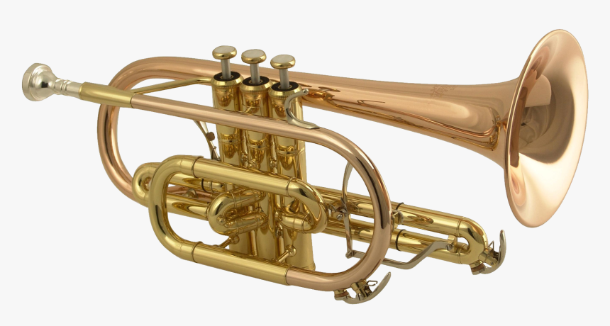 Trumpet Png, Transparent Png