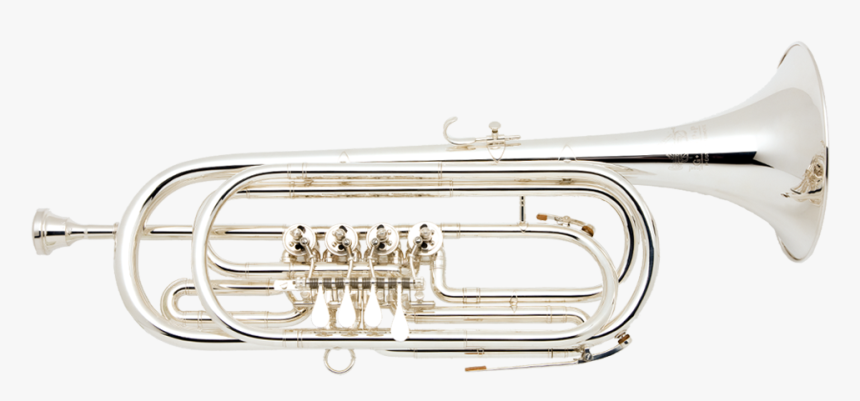 C-bass Trumpet - Basstrompete - Basstrompete, HD Png Download